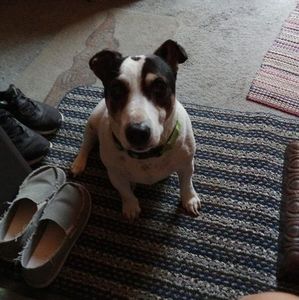 Meet your Posher, Mindy